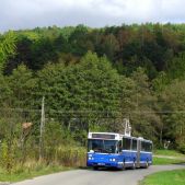 Scania CN113ALB #PE085