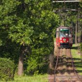 Konstal 105Na #425