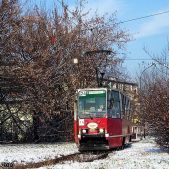 Konstal 105Na #529