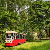 Konstal 105Na #733