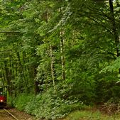 Konstal 105Na #767