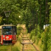 Konstal 105Na #677