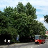 Konstal 105Na #687