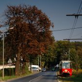 Konstal 105Na #277