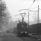 Konstal 105N #539