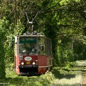 Konstal 105Na #785