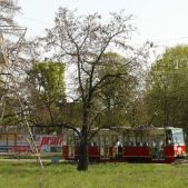 Konstal 105Na #420