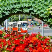 Konstal 105Na #742