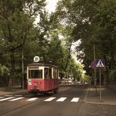 Konstal N #954