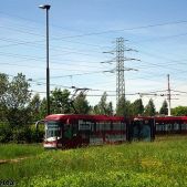 Alstom 116Nd #805