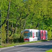 Alstom 116Nd #806