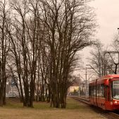 Alstom 116Nd #806