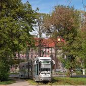 Alstom 116Nd #803