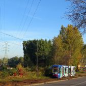 Alstom 116Nd #803