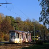 Alstom 116Nd #811