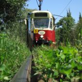 Konstal 102Na #205