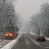 Konstal 111N #342+341