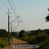 Modernizacja linii kolejowej 96 na odc. Tarnów - Stróże 17.08.2011 #5