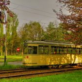 MAN T4 #220