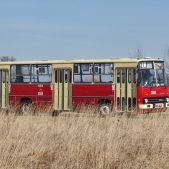 Ikarus 260.04 #BV01