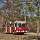 Ikarus 260.04 #BV01