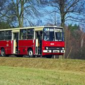 Ikarus 260.04 #BV01