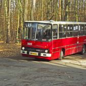 Ikarus 260.04 #BV01