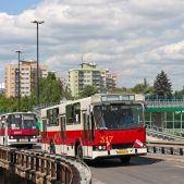 Jelcz M11 #317