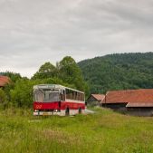 Jelcz M11 #317