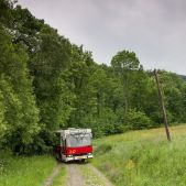 Jelcz M11 #317