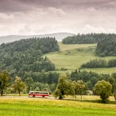 Jelcz M11 #317
