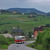 Jelcz M11 #317