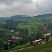 Jelcz M11 #317