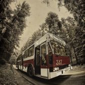 Jelcz M11 #317