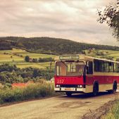 Jelcz M11 #317