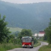 Jelcz M11 #317