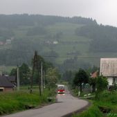 Jelcz M11 #317