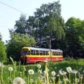 Konstal 803N #4