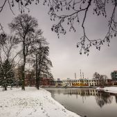 Konstal 803N #37