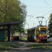 Konstal 803N #5