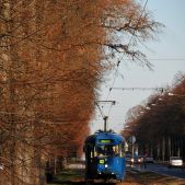 Konstal 803N #9