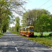 Konstal 803N #6