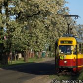 Konstal 803N #12