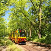 Konstal 805Na #1736+1737