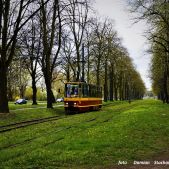 Konstal 805Na #1825