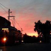 Konstal 5N #337+644