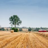 Konstal N #337+644