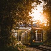 Bombardier Variotram #202