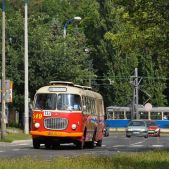 Jelcz 021 #549