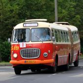 Jelcz 021 #549